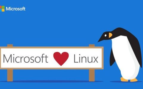 在Linux上使用Microsoft SQL - 安装SQL Server命令行工具