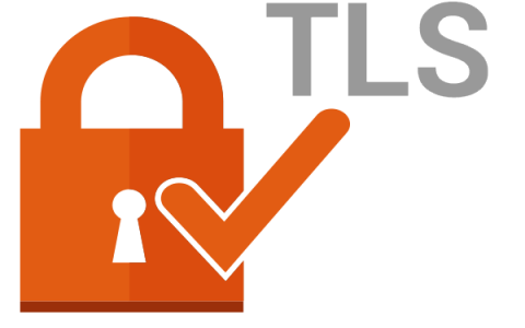 如何在Windows 11上启用TLS1.0和TLS1.1