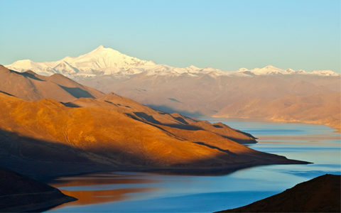 科学上网工具Chrome浏览器插件